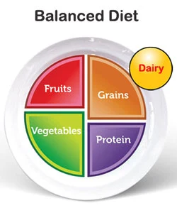Balanced diet plate showing fruits, vegetables, grains, protein, and dairy.