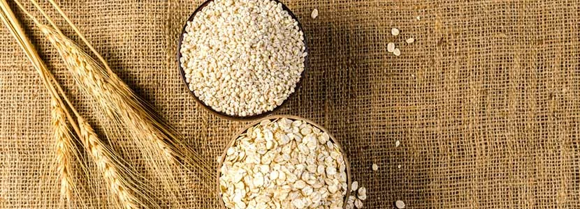 Benefits Of Barley