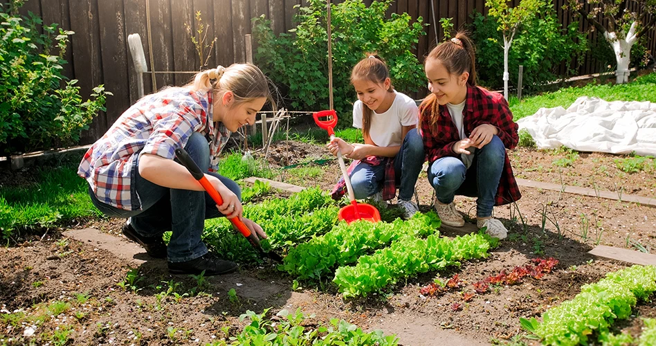 Adult and children tending vegetables in a small garden