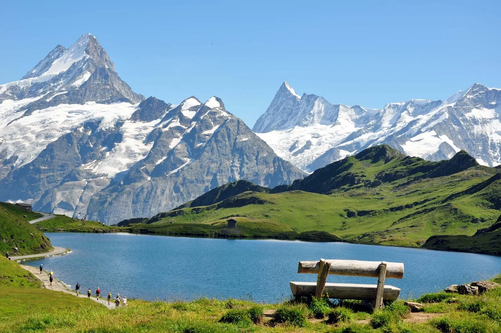 Mountain lake surrounded by forest and snow capped peaks