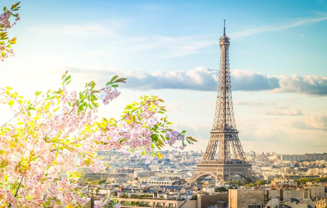 Eiffel Tower and the Paris skyline framed by spring blossoms