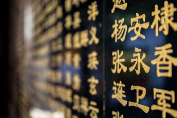 Chinese language: the fastest way to learn Chinese language