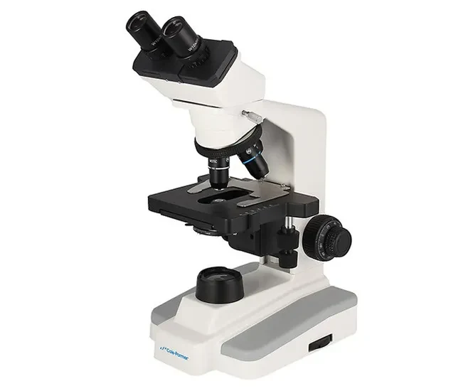 compound microscope