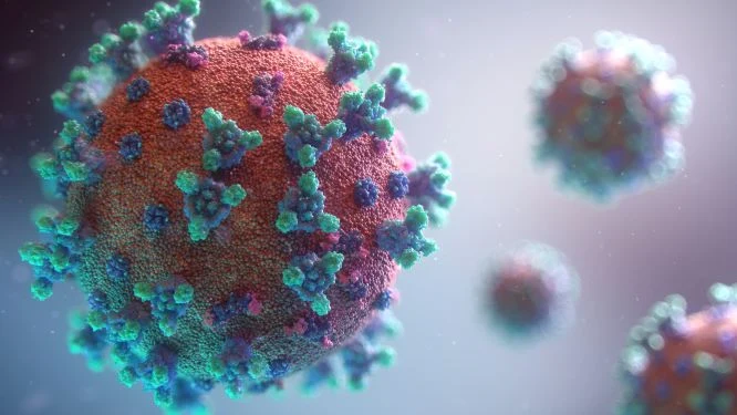 Corona virus of indian variant is detected in pakistan