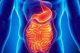 Disorders of Gut