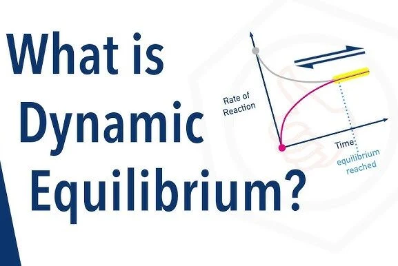 Dynamic Equilibrium