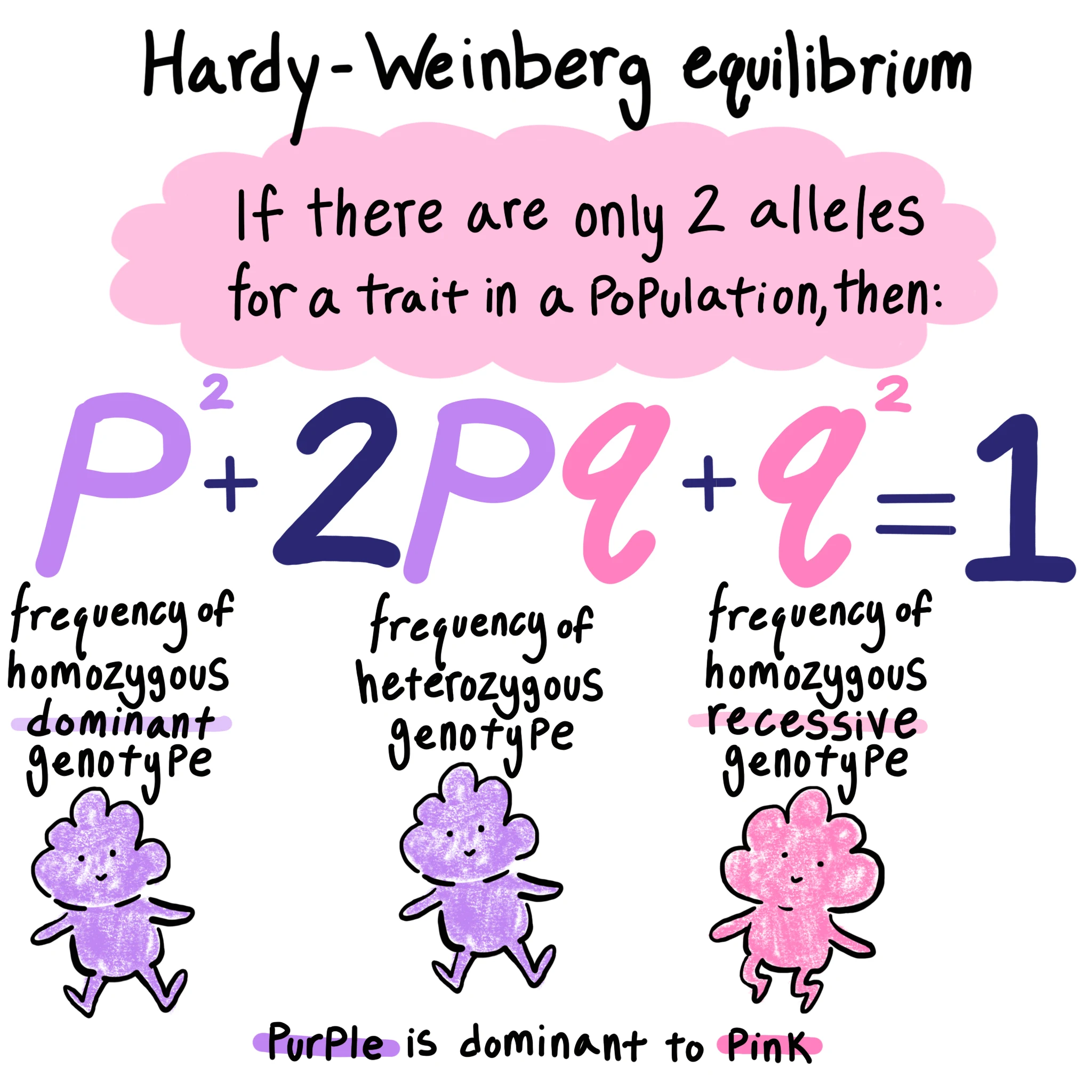 hardy-weinberg theorem