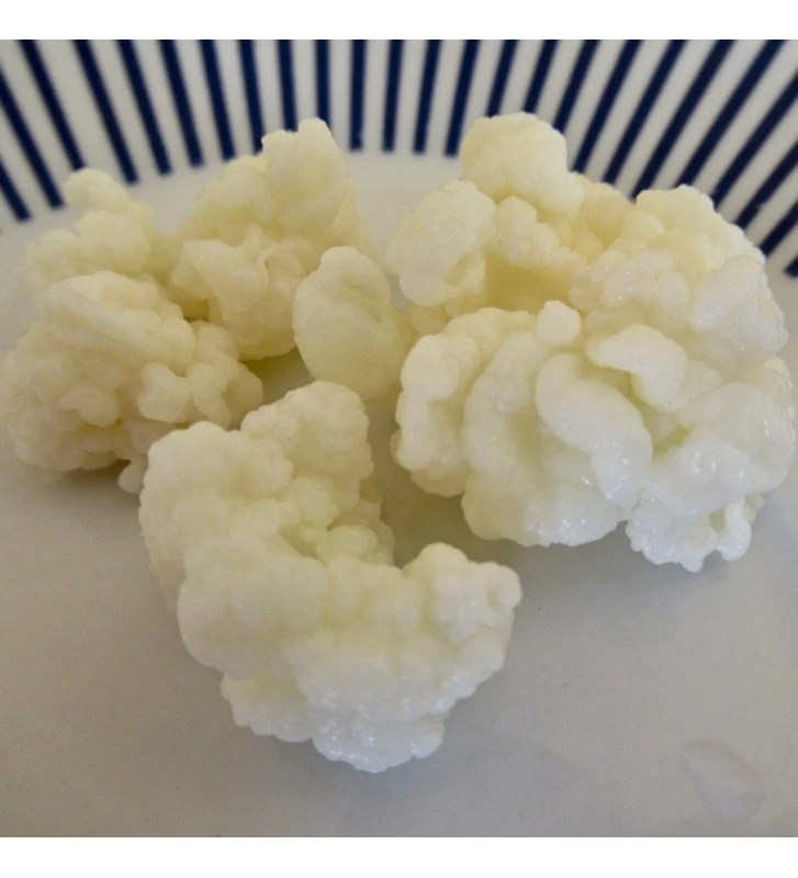 Health benefits of kefir