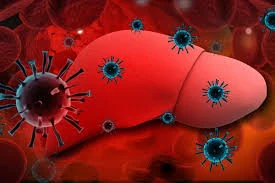 Liver Inflammation