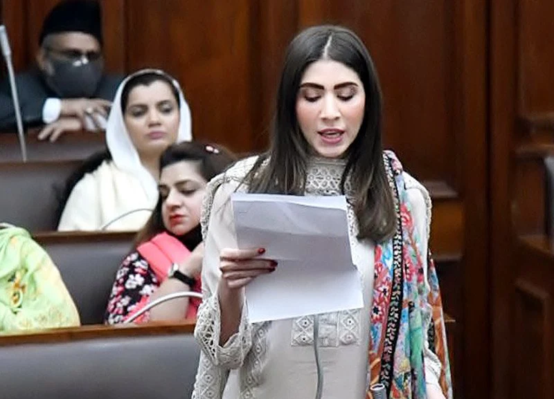 Hina Parvez Butt questioned the party leaders who objected to Maryam Nawaz getting important posts
