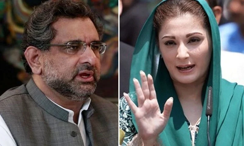 I will contest the election on the ticket of PML-N