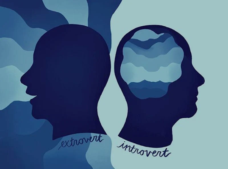 Introverts VS extroverts