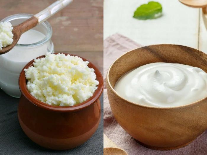 kefir vs yogurt