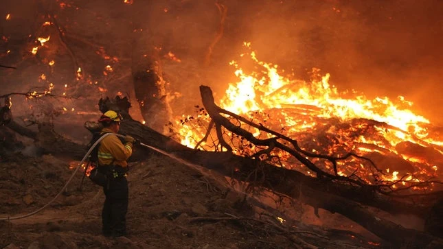 Causes of Wildfire