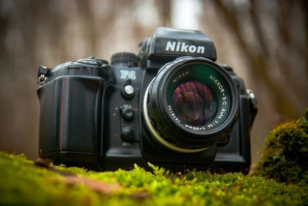 Nikon D Camera, best for photography