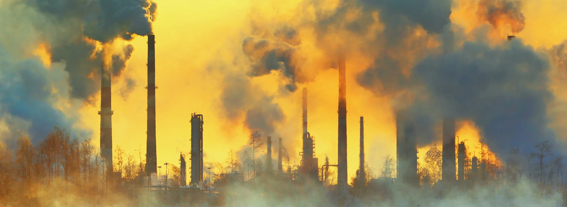 Pollution