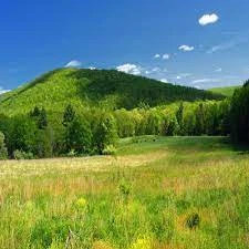 Green hillside landscape beneath a blue sky.