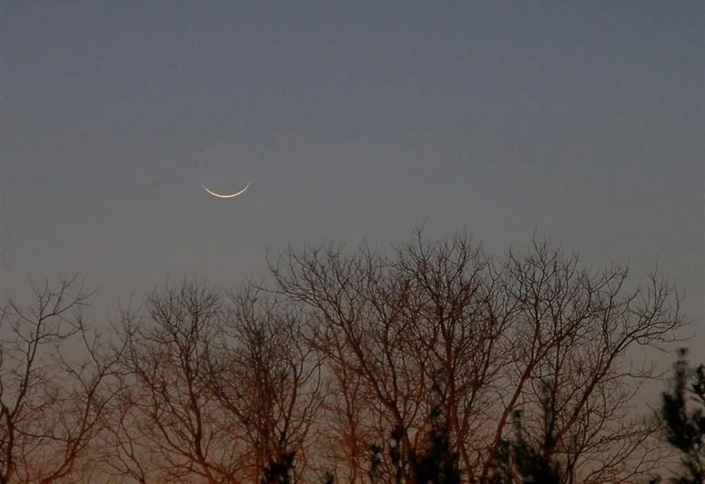 A thin crescent moon above silhouetted trees at twilight