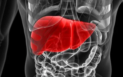 Some important facts to know about gallstones.