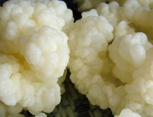 Types of Kefir