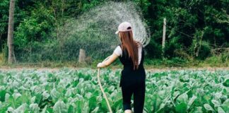 Gardening: How Gardening Improve your mental health Gardening: How gardening help with your mental health