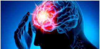 Human Brain-Damaging Habits Human brain damaging habits