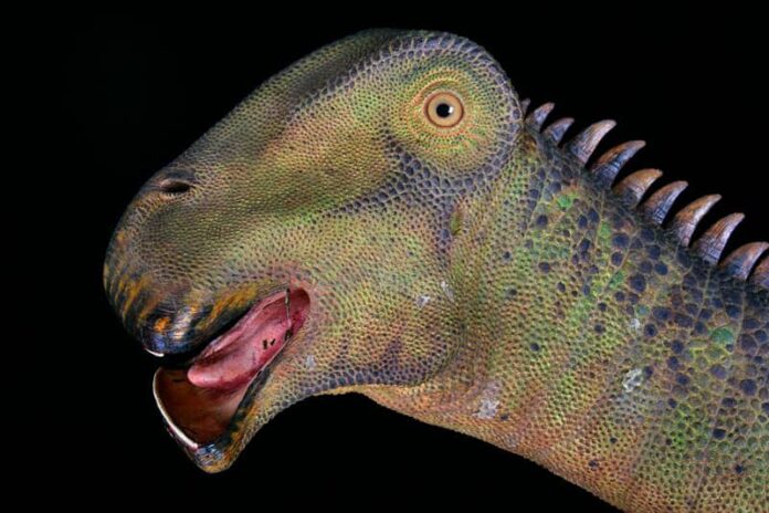 nigersaurus dinosaur has 500 teeth Those who do google the question get results for the Nigersaurus.