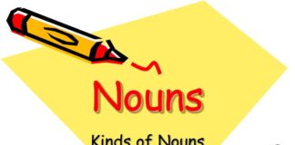 Noun and Its Types Types of Nouns