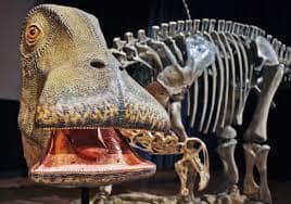 Nigersaurus, you might remember