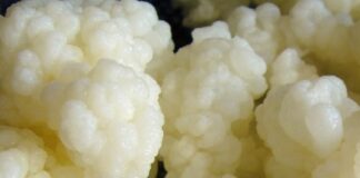 Types of Kefir Types of Kefir