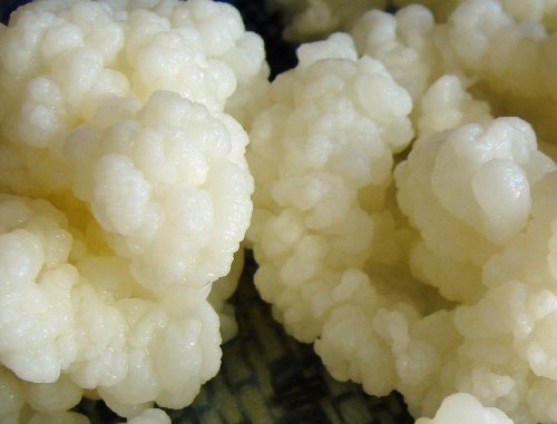 Types of Kefir Types of Kefir