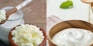 Kefir vs Yogurt kefir vs yogurt