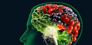 Foods Best for Brain Functioning Best food for brain functioning