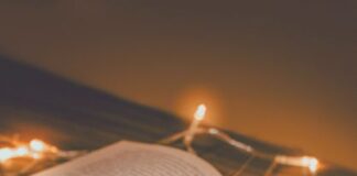 Best Book: Mesmerizing Books for you to Read this Autumn best book to read in this winter