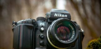 Nikon D3500: Nikon D3500 Rated and Reviewed 2021 Version Nikon D Camera, best for photography