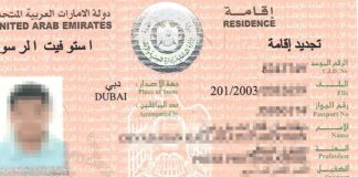 How to check Dubai residence visa status using passport, emirates id and UID application Dubai visa Status