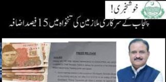 Decision to increase salaries and pensions of Punjab government employees on federal basis Decision to increase salaries