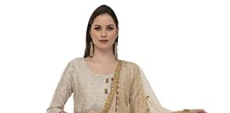 Anchal waves like a dream ParT(II) Organza tissue dupatta