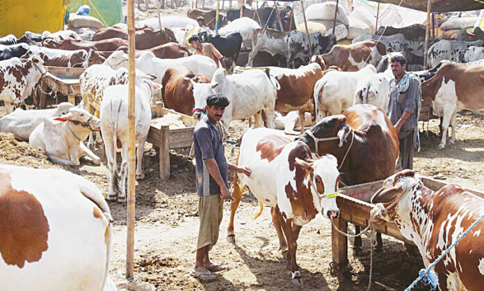 "The country is in deficit" "The country is in deficit"