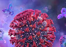 This virus has spread in 74 countries This virus has spread in 74 countries,