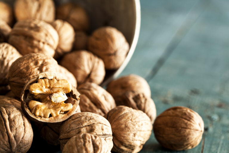Nuts, a wealth of energy