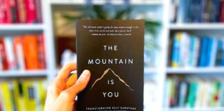 The Mountain is You book