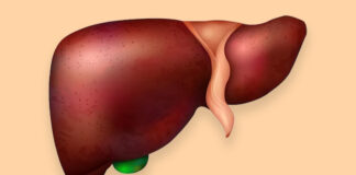 The Human Liver Central Metabolic House
