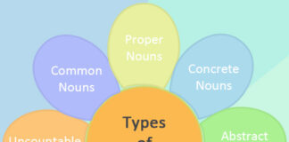 Noun and its Types grammar