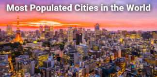 Top Populous Cities