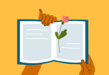 What is a Novel? Story