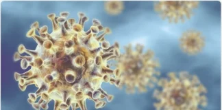 Virology Viruses