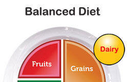 Balanced Diet Fruits