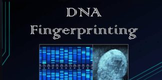 DNA Fingerprinting finger