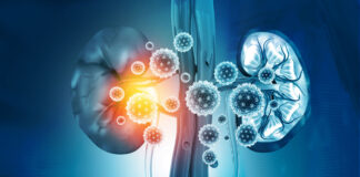 Kidney Diseases Renal